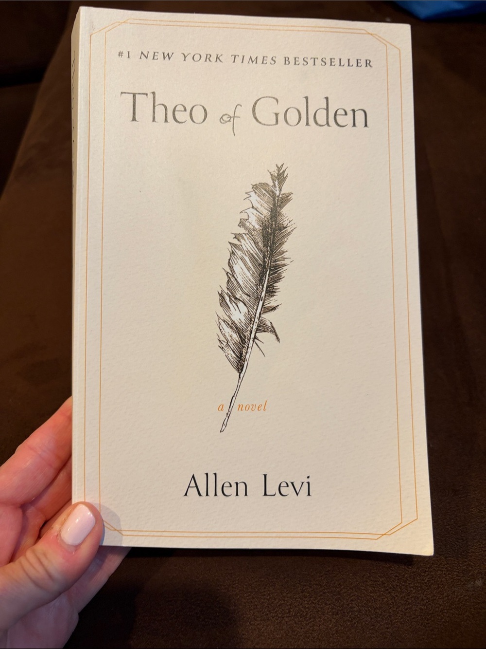 'Theo of Golden' by Allen Levi Paperback